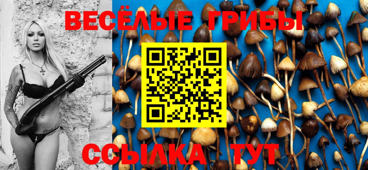 Галлюциногенные грибы MAGIC MUSHROOMS Михайловск