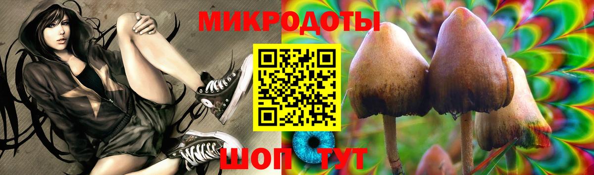 наркошоп  Псилоцибиновые грибы прущие грибы  Михайловск  Вход с VPN  Галлюциногенные грибы ЛСД 